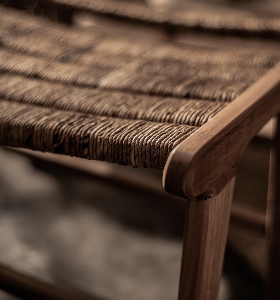 Caterpillar Beetle Footstool