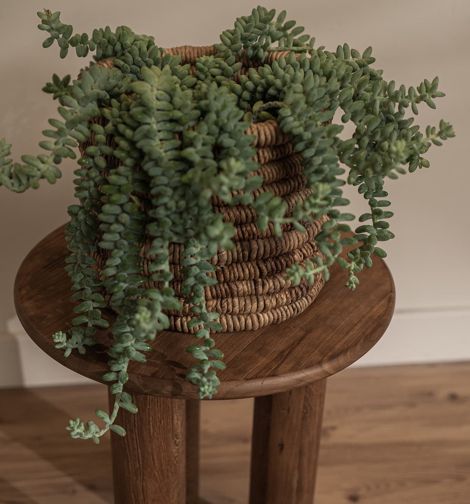 Dino side table round