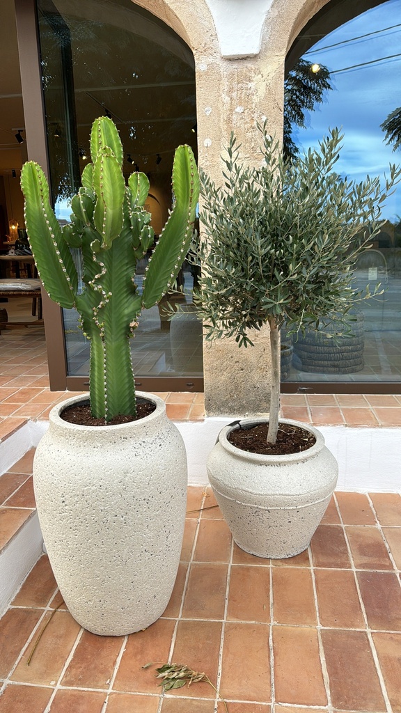 [P3212-46-98OT] Plant Pot Combi - Eros L + Olive Tree