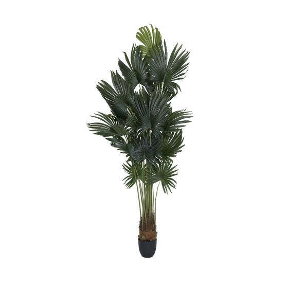 Palm Tree - Pottery Pots