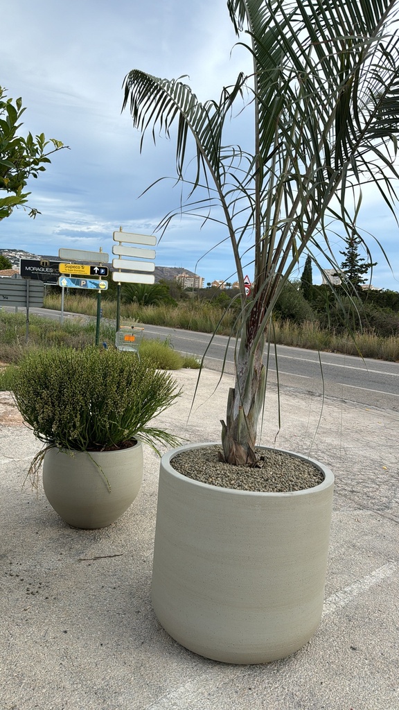 [R3017-57-90Bac] Plant Pot Combi - Jumbo Orb XS + Baccharis