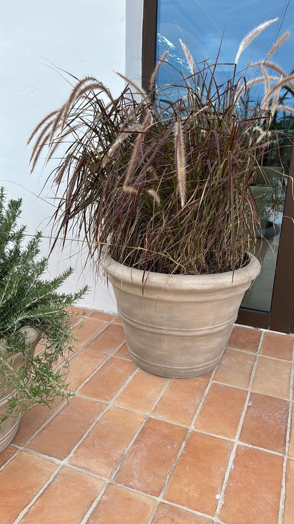 Plant Pot Combi - Kyra XL + Penesetum advena Fireworks
