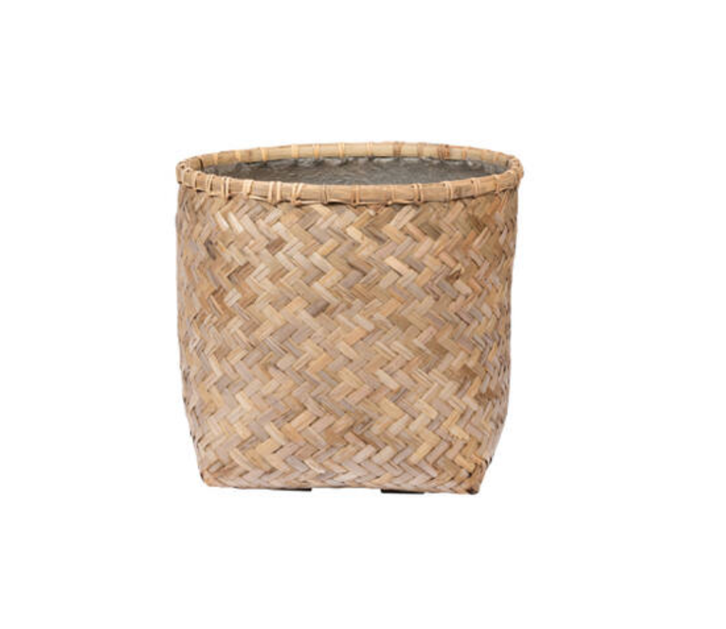 Zayn Bamboo - Pottery Pots