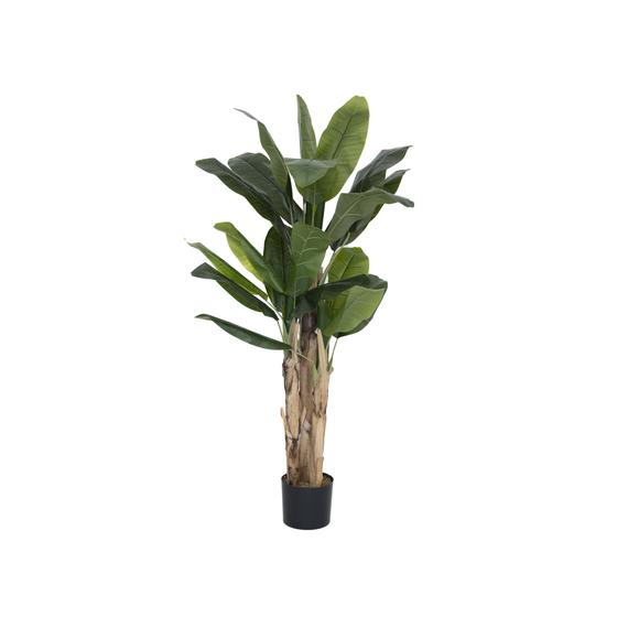 Banana Tree - Pottery Pots