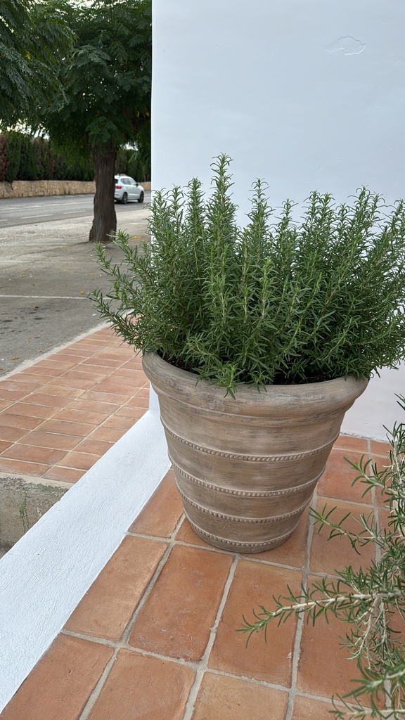 Plant Pot Combi - Selena L + Rozemary Standing