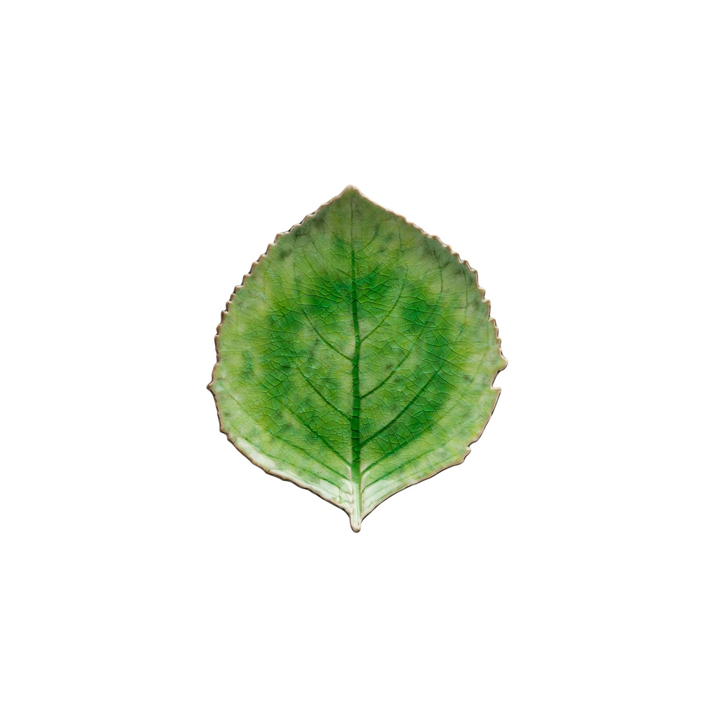 Riviera Hydrangea Leaf - Casa Fina